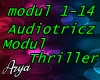 Audiotricz Modul