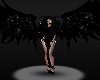 Dark Wings n Horns Black Gowns