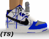 (TS) Blue Grey Nikes