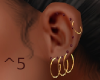 Golden Ruby Earrings