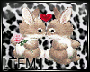 [TFM] Bunnys