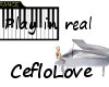 piano real in live