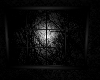 [Ella] Dark Window