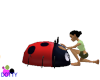 ladybug ride