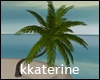 [kk] Palm Tree