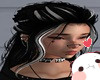 Panda Tomasina