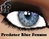 Predator Blue Eyes Femme