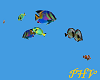 PHV Reef Fish Amimated