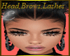 DIANE,HEAD,BROWS,LASHES