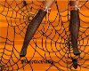 ~M~ BeWitched Stockings