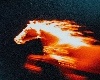 kong