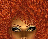 Hair babe tangerine afro