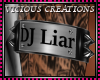 {CV} DJ Liar  R - Male