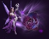 Purple Fairy Dragon Pic