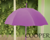 !A purple umbrella