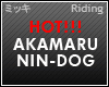 Akamaru Riding Action
