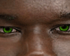 Asteri Eye Green