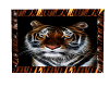 tiger animated pic
