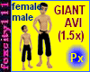 Px Giant avi unisex
