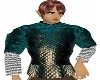 LOZ Link Scalemail