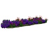 Lavender flower patch