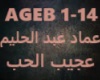 Emad Abdel Halim-Aageeb
