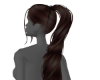 ʑ 00 Brown Hair