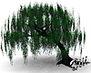 Animated-Willow Tree