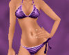 (V) Purple Bikini