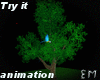 Tree Animation