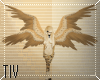 Tiv| Akhekhu Wings (M/F)