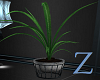 Z: Reflections Plant 1