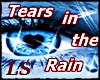 LS Tears in the Rain