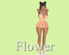 MA Flower