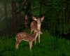 Forest Enchanted Deer