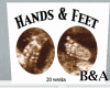 [BA] Hands and Feet