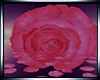 Romantic  Rose Room