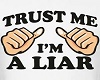trust me im a liar
