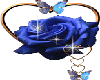 blue rose/butterflys