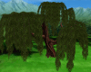 (DALI) Large tree