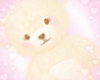 ♡ teddy bear ♡