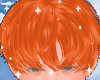 Boster Ginger