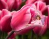 tulip fairy