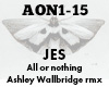 JES All or Nothing Remix