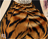 TIGRE