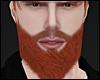Style Beard Ginger MH