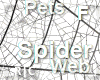 R|C Spider Web White F