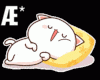 Æ*Silent Sleeping Poses