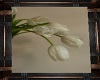 Framed Tulip pic 1
