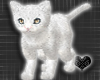 *-*Diamond White Cat Pet